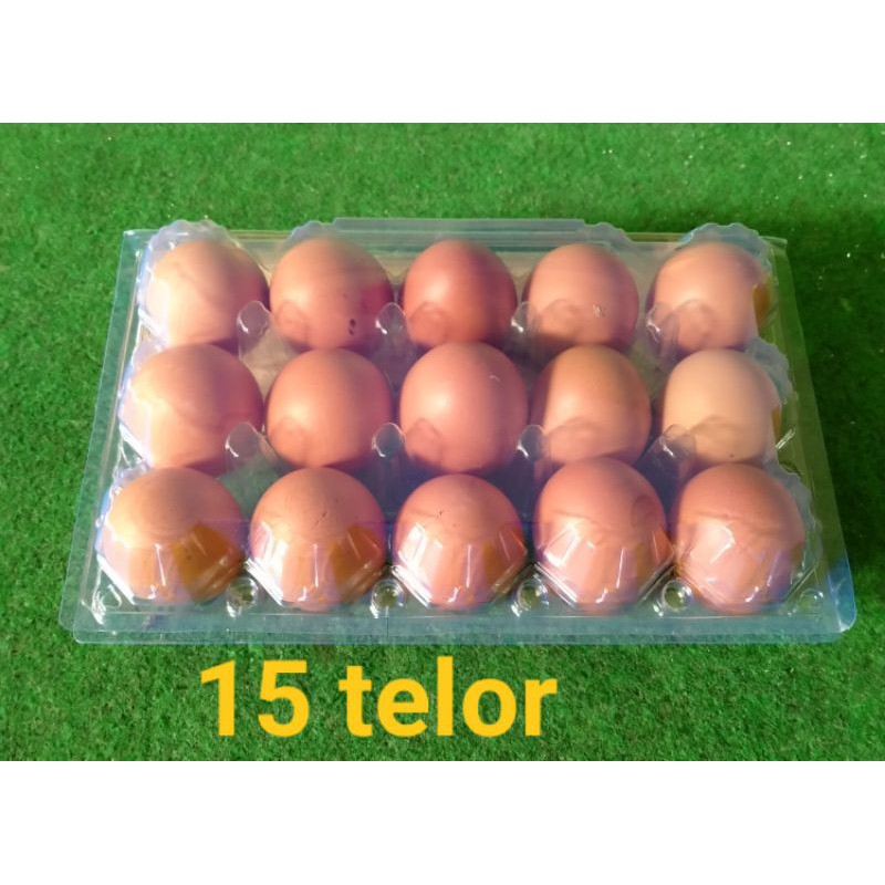 Mika telur ayam negeri isi 15 butir tebal 0.3 dengan pengunci