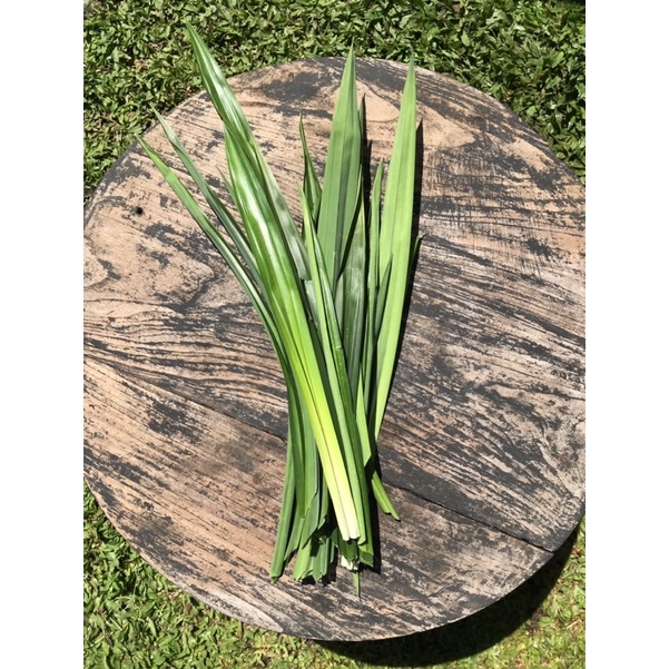 

Daun pandan segar 1 ikat