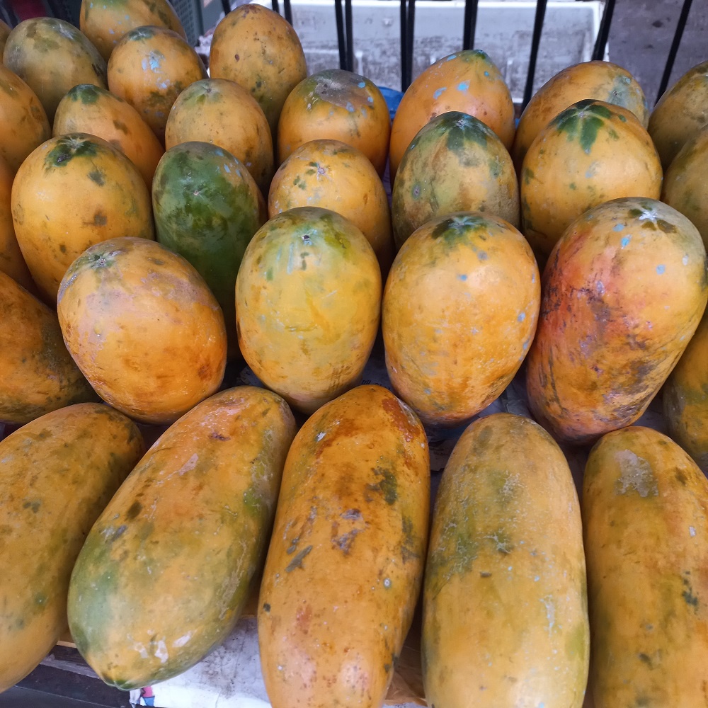

Pepaya Segar Fresh