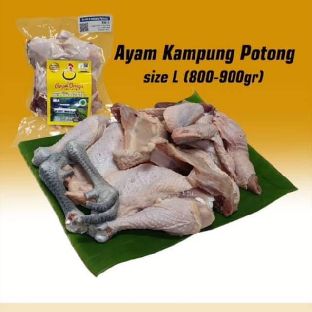 

Ayam Kampung Potong L -Omega Royal Chicken
