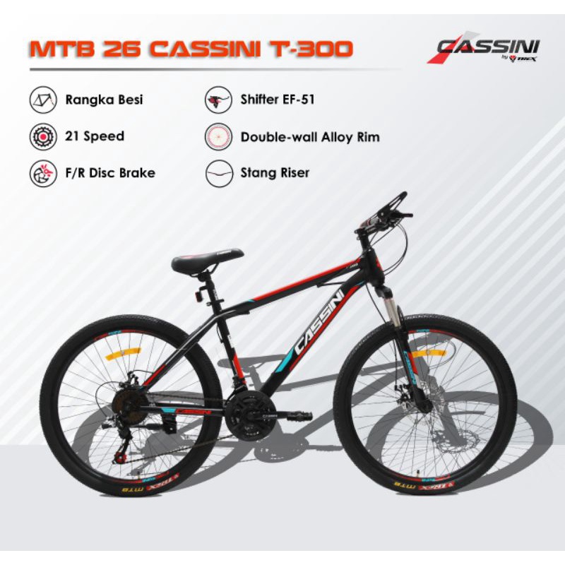 MTb 26 Cassini T-300