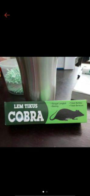 Lem Tikus Cobra