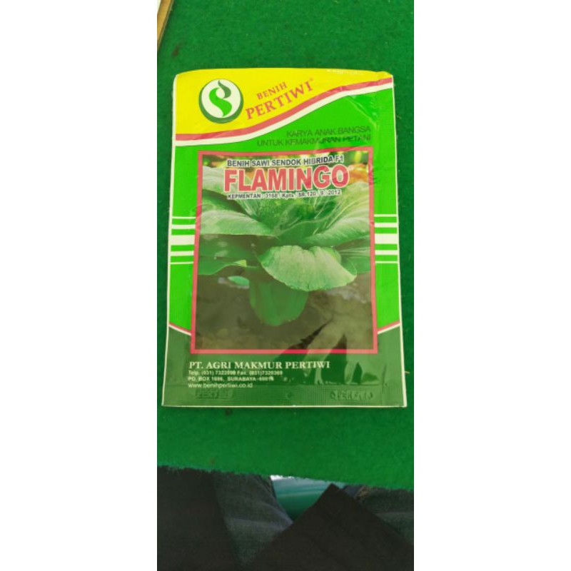 Benih Sawi Sendok Hibrida F1 FLAMINGO