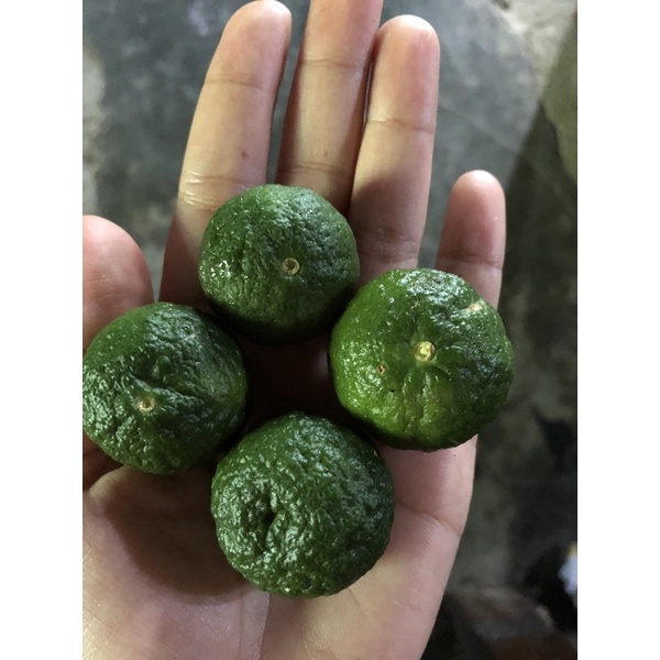 

Jeruk Sambal/ Jeruk Bakso Aci