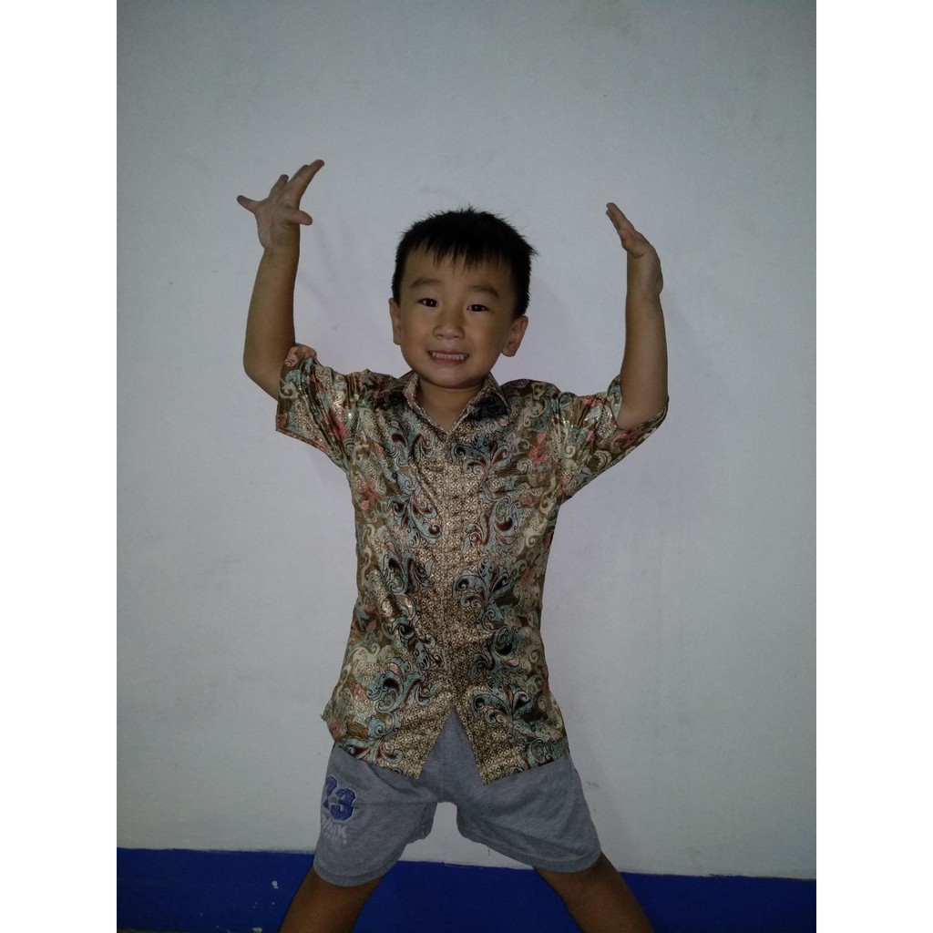 SB Collection Atasan Kemeja Indra Lengan Pendek Batik Anak Laki-Laki