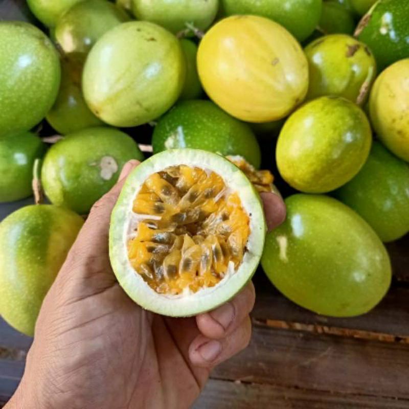 

buah markisa segar, manis asam 1 kg buah markisa kuning tuA