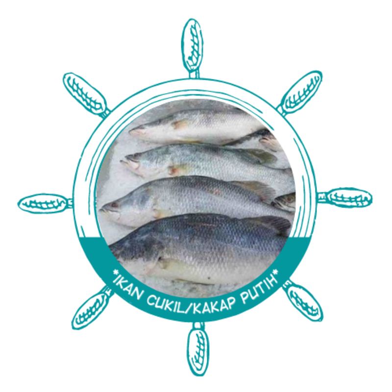 

ikan cukil / kakap putih / baramundi