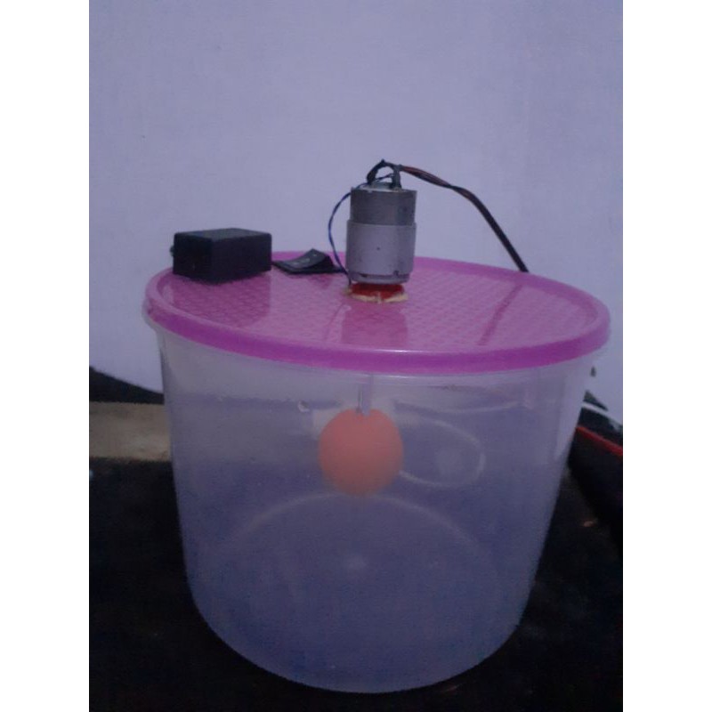 Alat putar ikan cupang