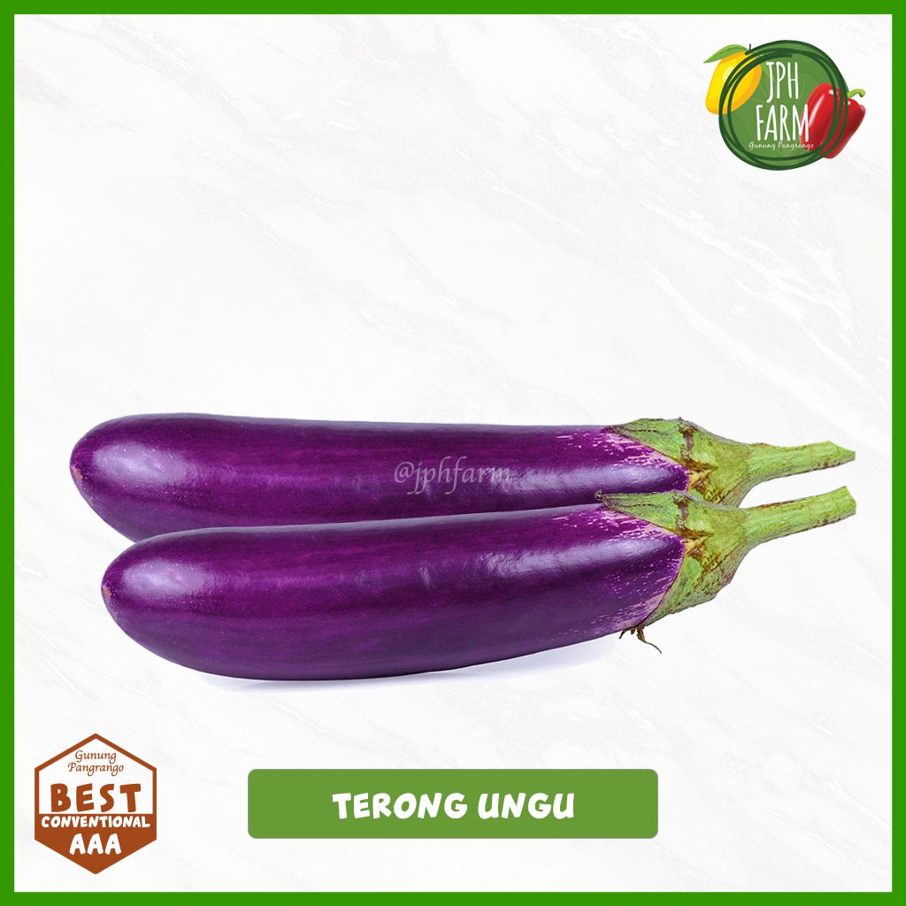 

Terong Ungu, Terung Sayur, Eggplant 500g