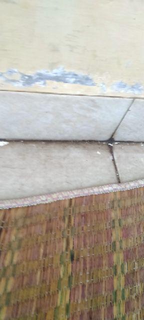 Mata Bor 10 Mm Bosch Multi Purpose Bagus - Bor Beton - Bor Granit