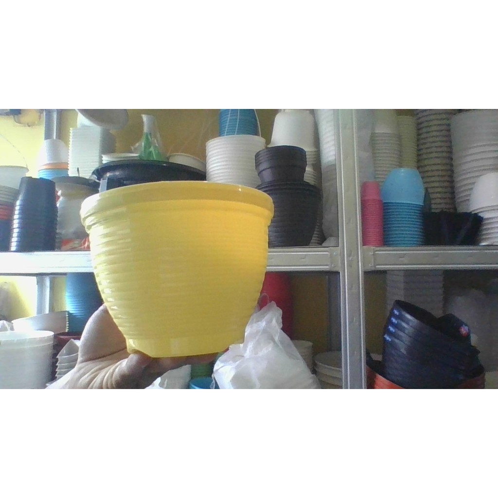 POT BUNGA LEBAH 15 KUNING