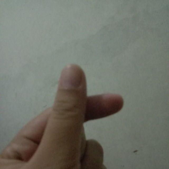 Stiker Dinding 33 Jungle