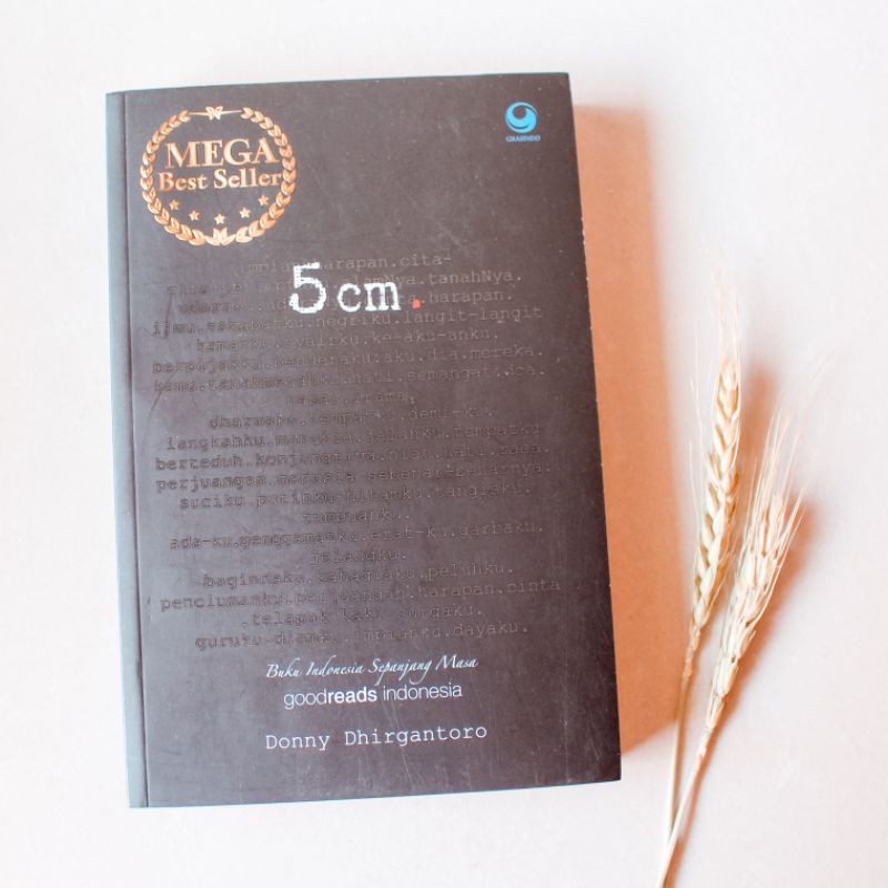5 CM (Preloved Novel)