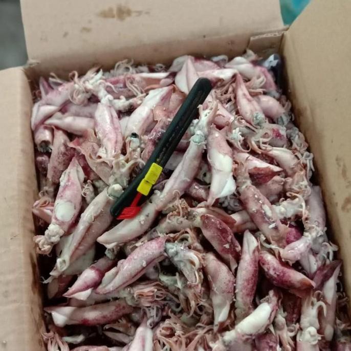 

[COD] ikan asin cumi sontong beku per 500gr [COD]