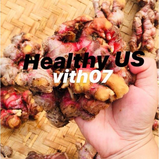 

JAHE MERAH SEGAR 1KG TANPA TANAH