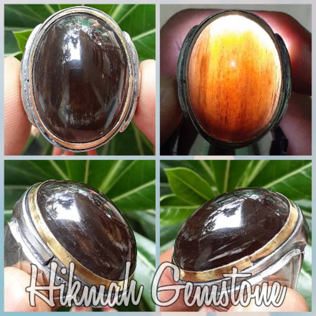 Batu Fosil Kelor Kristal Jumbo