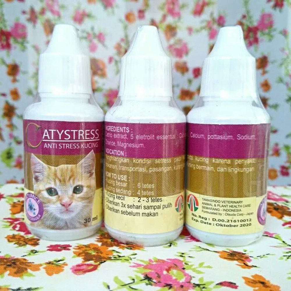 CATYSTRESS CAT - Obat Anti Stress Kucing Caty Stress CatyStres Caty Stress