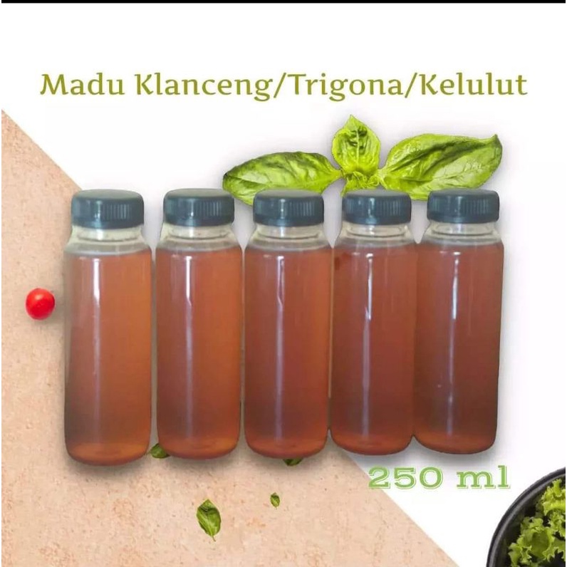 

MADU KLANCENG/TRIGONA/KELULUT ASLI MADU MURNI