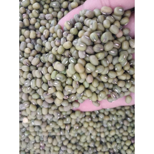 

KACANG IJO yulex Australia super murah