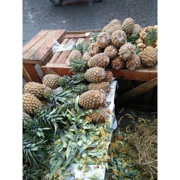 

-NANAS PALEMBANG-NANAS SEGAR-NANAS MADU-NANAS SUBANG-NANAS KEDIRI-BUAH NANAS-NANAS MURAH BERKUALITAS