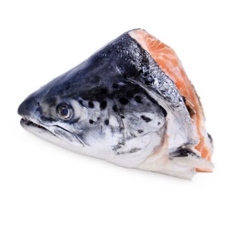 

kepala ikan salmon segar fresh, TerMurahhh