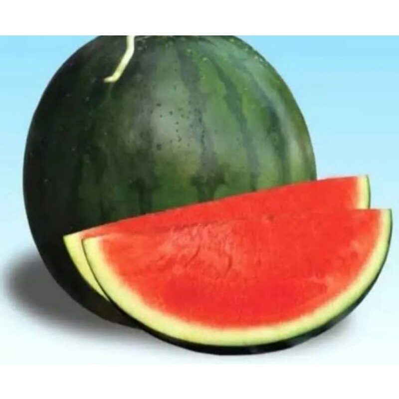 

Semangka Merah (1 Buah)
