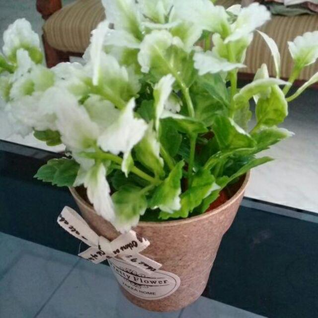 Vb16 Vas Bunga Pita Mini Tanaman Artifisial Daun Hias Warna Flower Pot Imut Dekorasi Meja