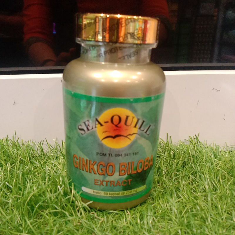 Ginkgo Biloba Sea Quill 60
