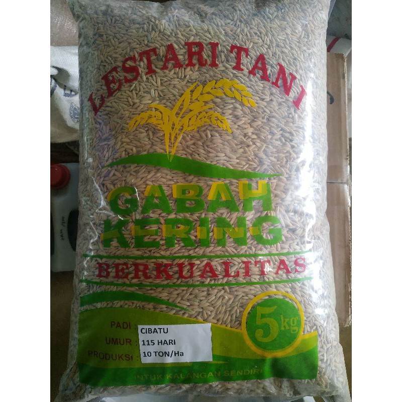 Benih padi Cibatu 5 kg Original & Asli