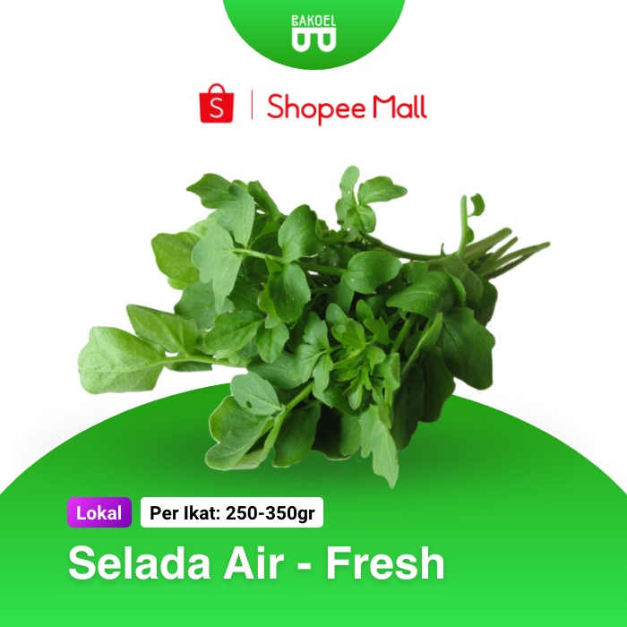 

Selada Air - Official Store Bakoel Sayur Online