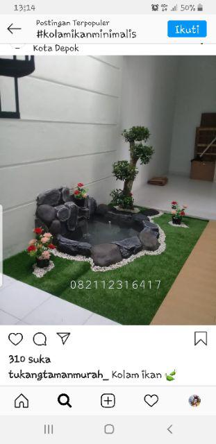 Tanaman Hias Bromelia Varigata Bromel Putih