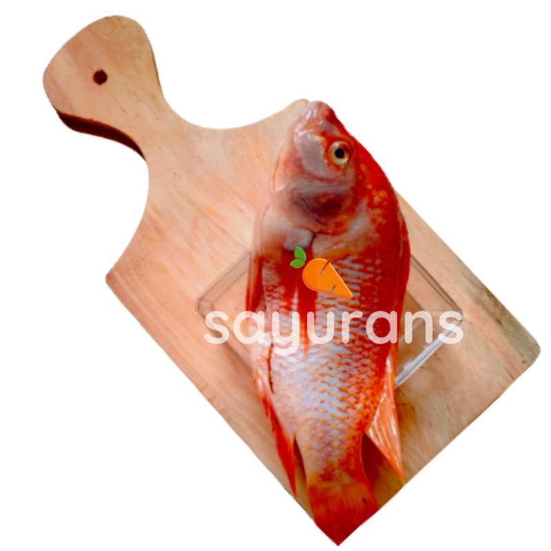 

SAYURANS Ikan Nila -+ 1 KG