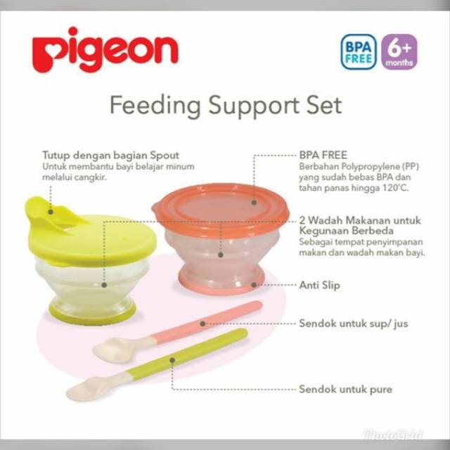 Pigeon Feeding Support Set