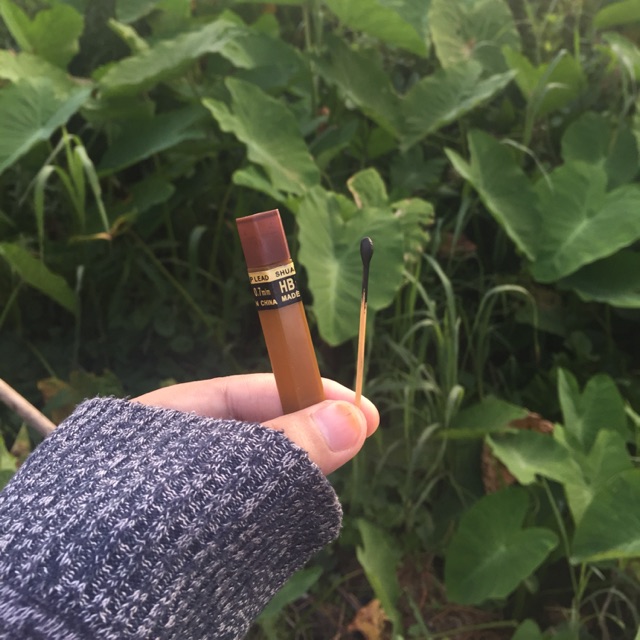 Celak Mata Tarim Original