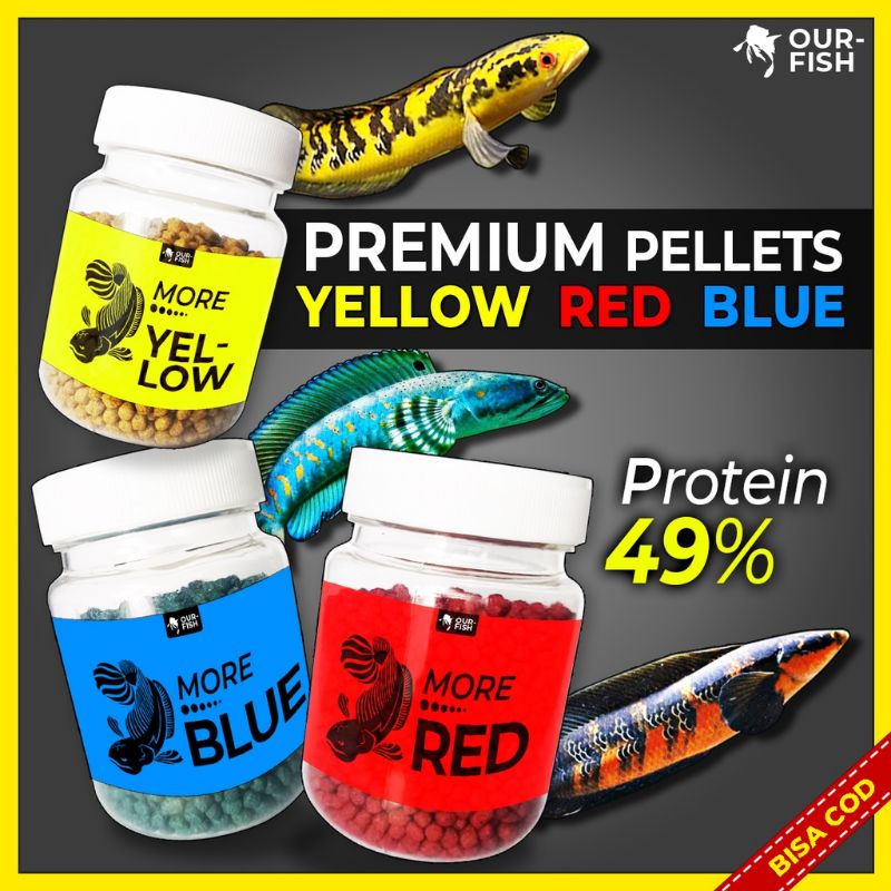 Pelet Chana Khusus Bunga More plus Carophyll Pelet Jahat Chana Auranti Yellow Maru Blue pulcra Andrao pelet ikan predator