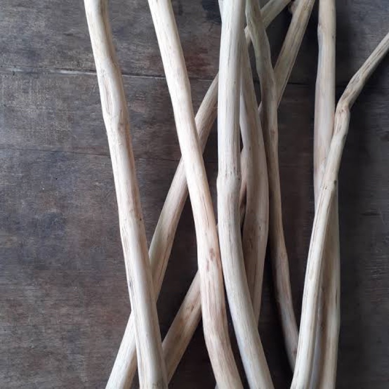 Kayu ranting jati taekwood macrame / kayu jati belanda