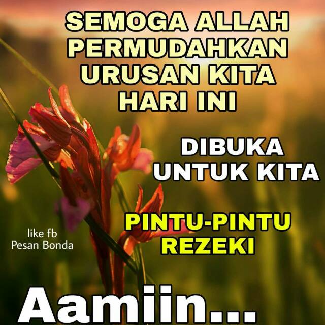 linamamanyaaujorakio