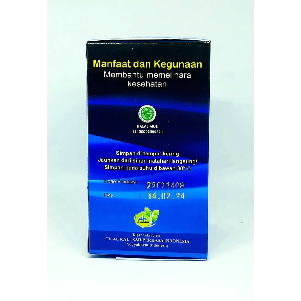 ALBUMIN - ELBUMIN -SARI IKAN GABUS 500 MG