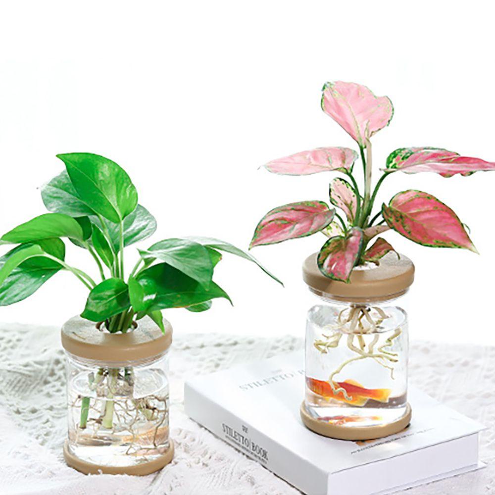 Rebuy Home Decor 1pcs Kaca Imitasi Bulat Bahan Resin Untuk Perlengkapan Taman Tanaman Air Indoor/Outdoor