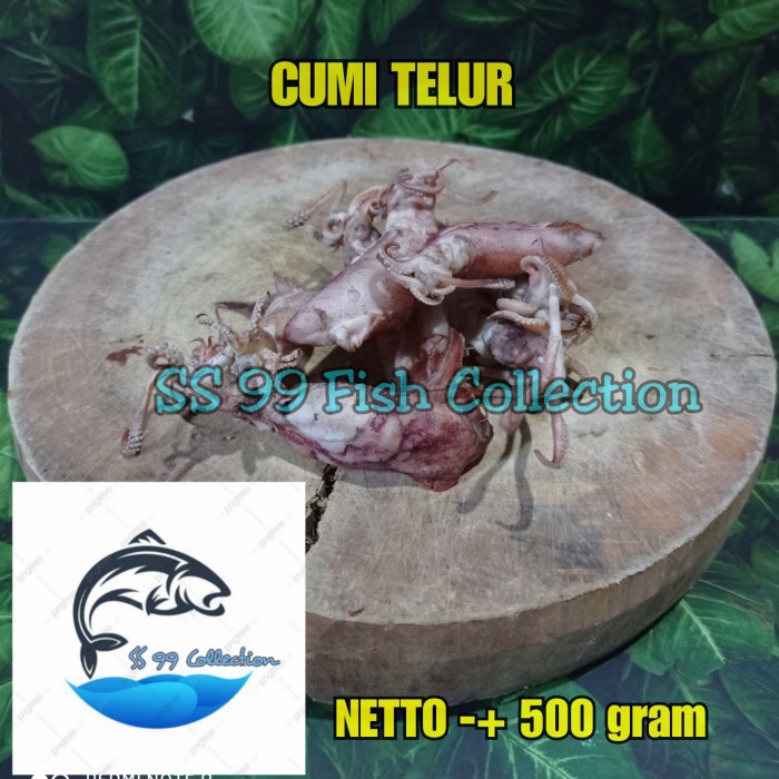 

cumi telur asin - cumi jumbo termurah