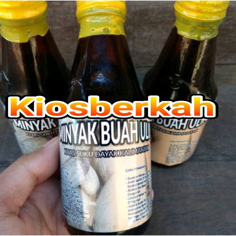 minyak buah ulin buah kayu besi khas kalimantan
