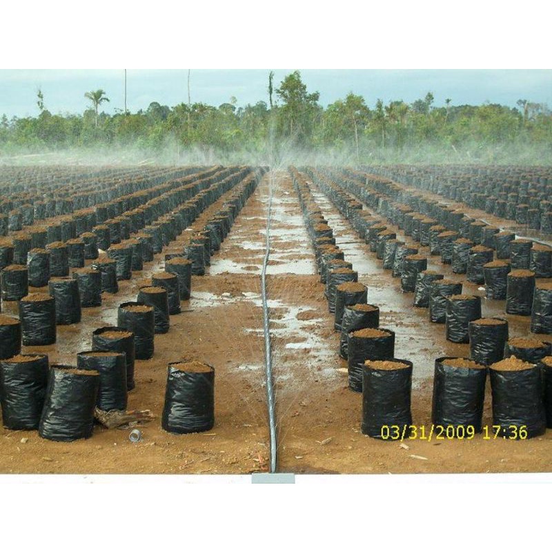 Selang Drip Irigasi Berlubang Merk Kabahose 5 cm 1&quot; 100 meter Kelapa Sawit