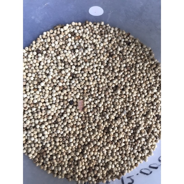 

Merica Putih Rempah 100g