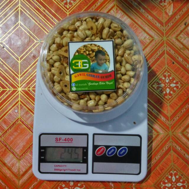 

Kacang bawang / gawil gibran