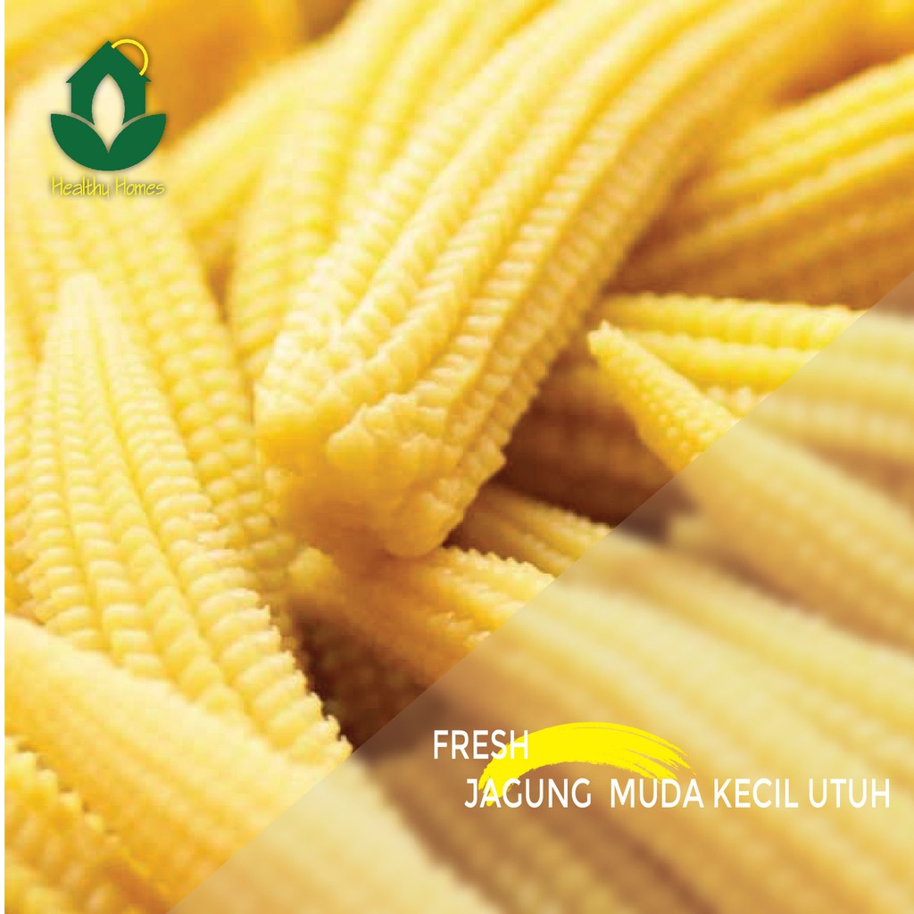 

Jagung Muda Kecil 250gr Jakarta dan Tangerang