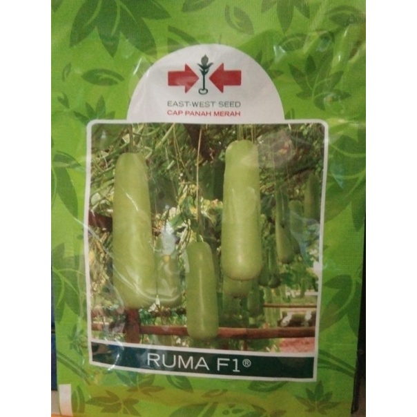 Benih labu putih Ruma F1 cap panah merah