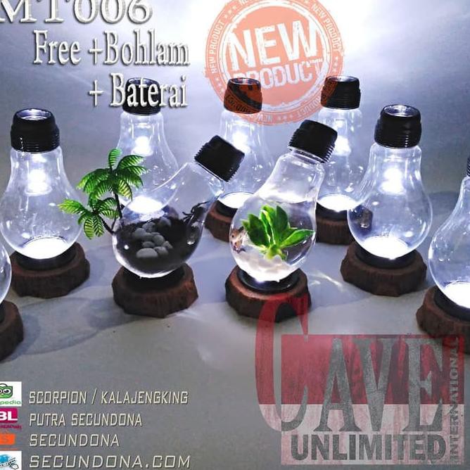 Not Deal Terrarium Aquarium Unik Lampu Meja Kamar Hiasan Rumah