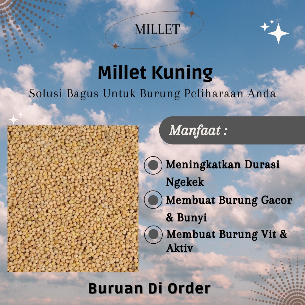 

Pakan burung / Milet kuning / pakan kutut / pakan lovebird / millet coklat