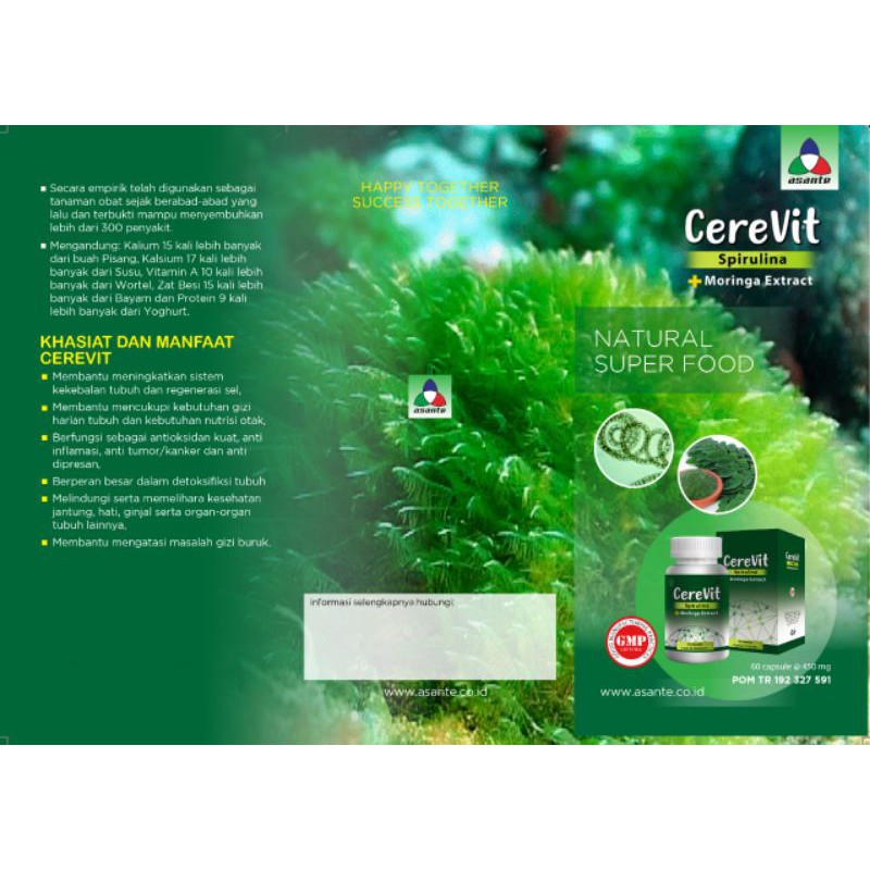 

cerevit rhizoma asante ekstrak Spirulina dan daun kelor