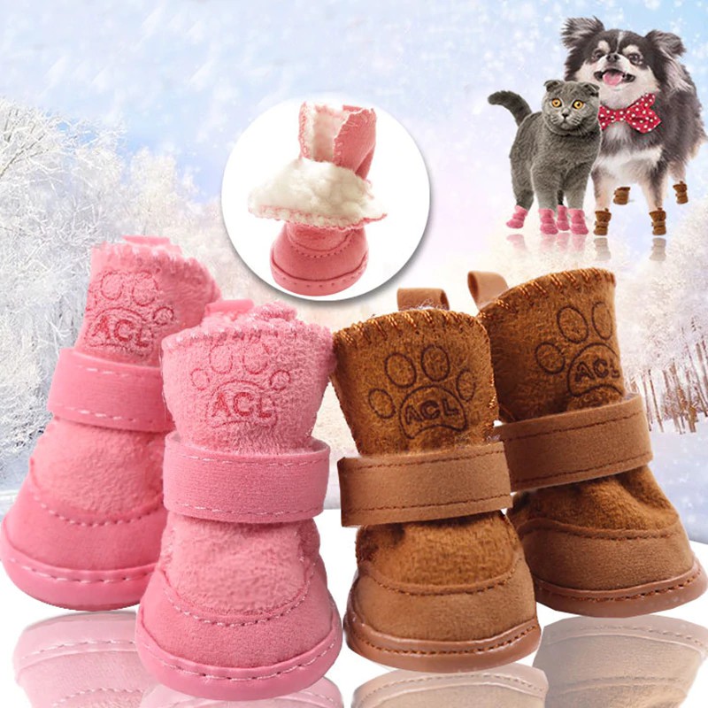 shih tzu snow boots